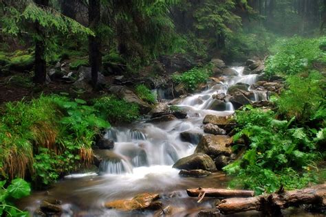 Río Que Desciende Por Las Montañas Con Agua Del Manantial Paisajes