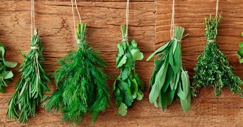 My 5 Most Loved Herbs To Grow At Home Becoming The Best You