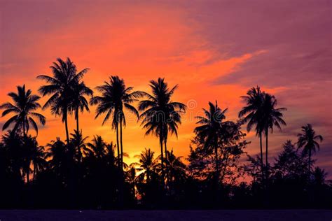 A Beautiful Of Sunset In Thailand On 21 May 2015 Stock Photo Image Of