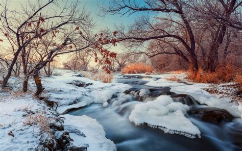 Trees And River Nature Landscape Winter River Hd Wallpaper