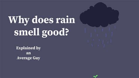 Averageguyexplained Why Does Rain Smell Good Youtube