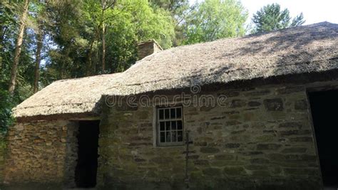Old Irish Traditional Stone Cottage With Thatched Roof On A Farm In
