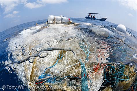 Ghost Fishing Nets Killing Marine Life