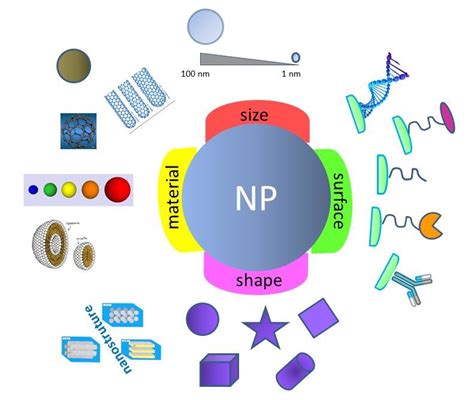 Engineered multifunctional NP. | Download Scientific Diagram