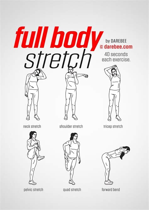 Full Body Exercise Routine At Home Stretches Before Workout Office