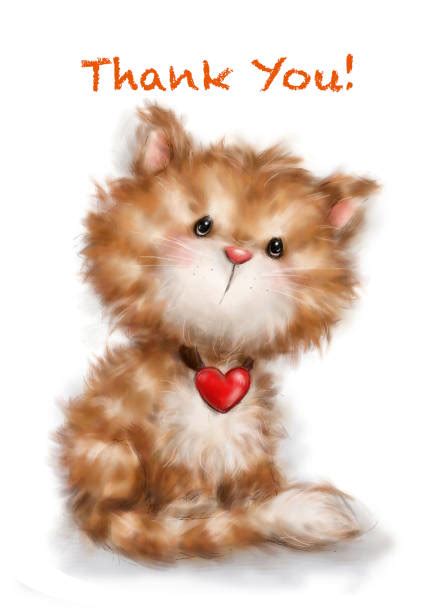 Thank You Cat Stock Photos Pictures And Royalty Free Images Istock
