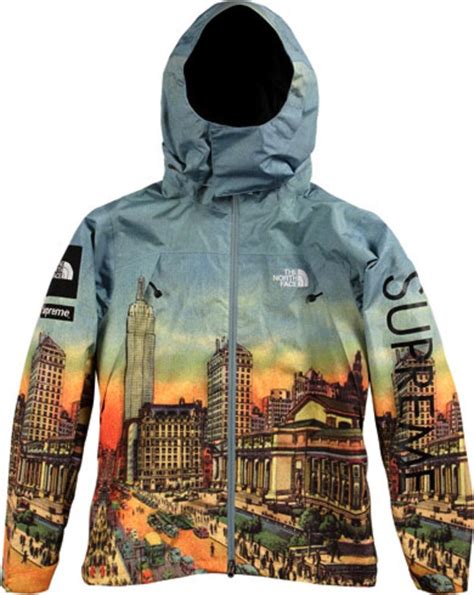 Supreme X The North Face Summit Series Jackets North Face Sweater