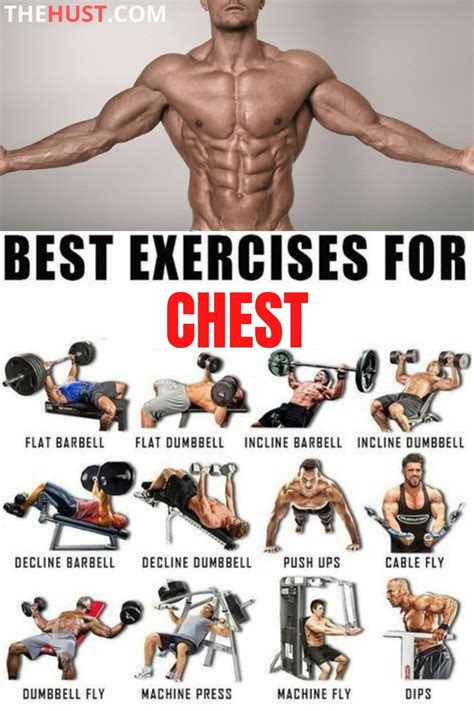 Ultimate Chest Workout Plan Ejercicios Para Abdomen Ejercicios Para Pecho Ejercicios Para