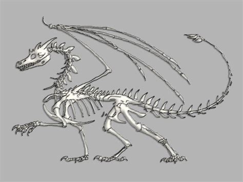 How To Draw A Dragon Skeleton Cityofvantx