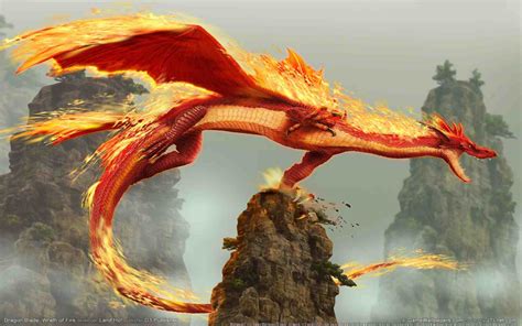 Hình Rồng 3d Hình Nền Rồng Đẹp Nhất Ảnh Rồng Dragon