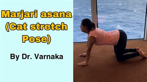 Marjari Asana Cat Stretch Breathing Yogic Breathing Exercise Dr