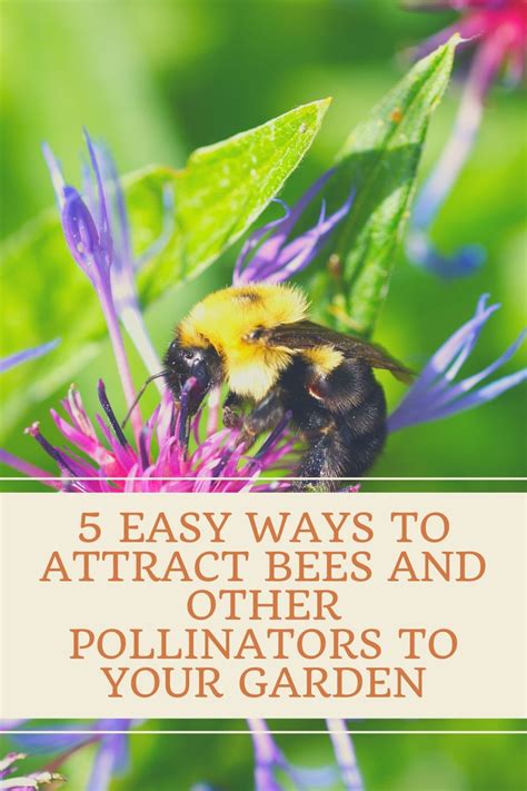 How To Attract Pollinators To Your Garden Outnumbered 3 To 1
