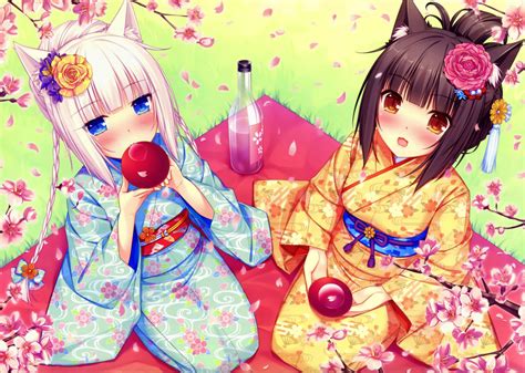 Chocolat Neko Para Anime Girls Animal Ears Cat Ears Nekomimi Neko Works