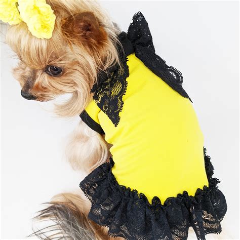 Cute Dog Dress With Black Lace Dog Clothes Girl Teacup Dog Etsy