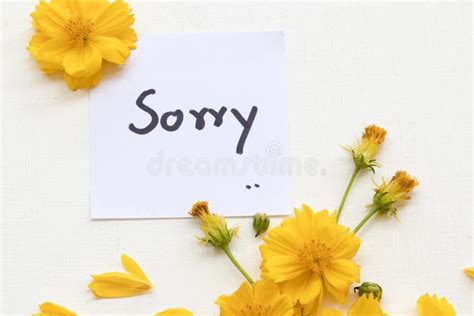 122 Sorry Card Yellow Flowers Stock Photos Free And Royalty Free Stock