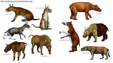 South American Hoofed Mammals 2 Prehistoric Wildlife Prehistoric World