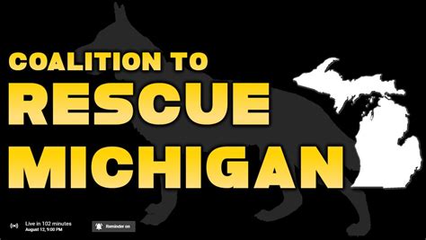 Rescue Michigan How To Respond To Politicians Brush Off Letter