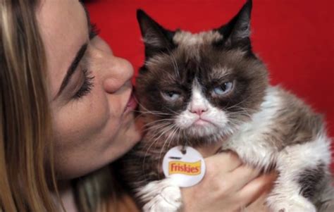 Viral Sensation Grumpy Cat Dies At Age 7 Food And Everything Else Too