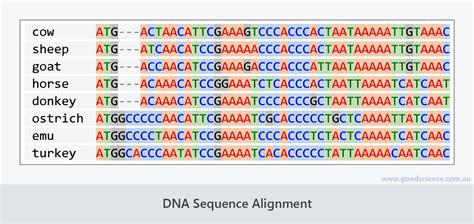 Visualization How Do I Plot Clusters Based On Dna Seq Vrogue Co