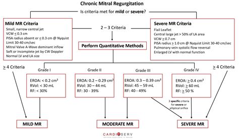 Mitral Regurgitation Case Study Demonstration Cardioserv