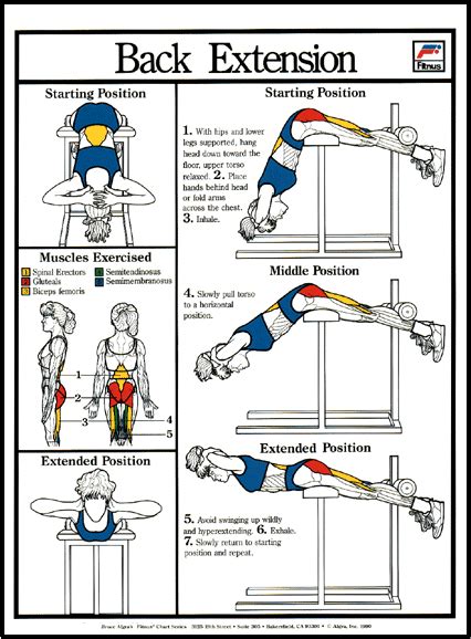 Back Extension Exercise Poster Clinical Charts And Supplies