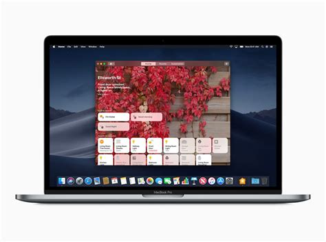 Macos Mojave Das Sind Die Top 10 Features › Macerkopf