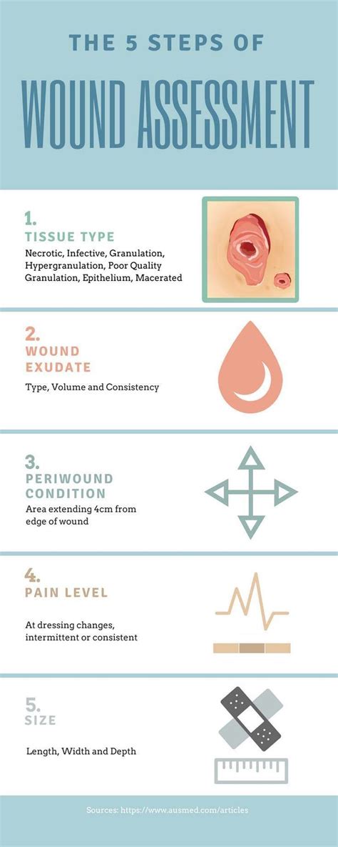 Ausmeds Wound Care And Wound Healing Guide For Nurses Infographic