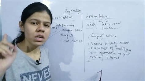Difference Between Assimilation And Accommodation Insimple Way YouTube
