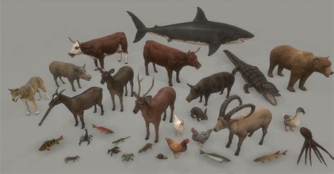 Animal Pack Deluxe 3d Animals Unity Asset Store