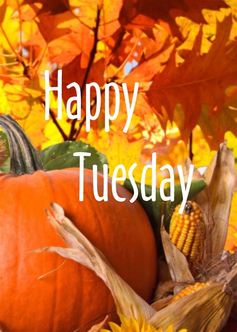 65 Happy Tuesday Fall Images