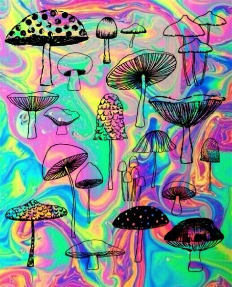 Trippy Aesthetic Mushroom Wallpaper Trippy Psychedelic Colorful