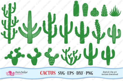 Cactus SVG By Polpo Design | TheHungryJPEG.com