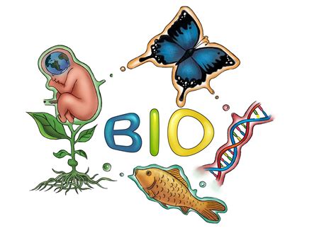 Estampa Biologia Camiseta Biologia Biologia Ilustrações
