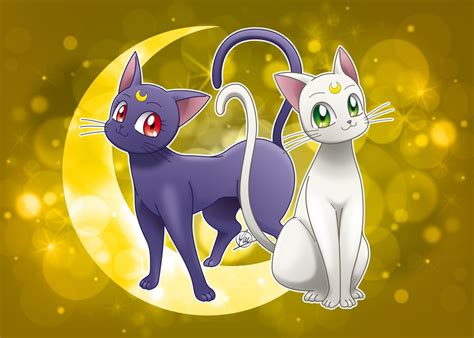 Two Cats Are Standing In Front Of A Yellow And Green Background With The Moon Behind Them