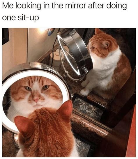 29 Purrfect Caturday Cat Memes That Will Leave You Feline Good Funny