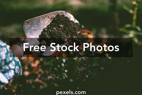 10000 Best Gardening Photos · 100 Free Download · Pexels Stock Photos