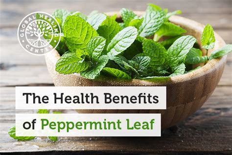 The Health Benefits Of Peppermint Leaf
