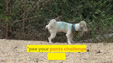The Tiktok Pee Your Pants Challenge 1 YouTube
