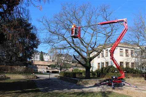 Maybe you would like to learn more about one of these? Pflege | Kramer Garten