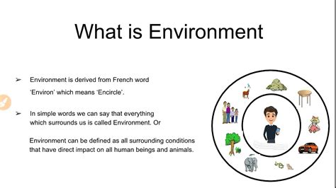 What Is Environment And Its Components With Mcq S Environmental Science Edusquad Youtube