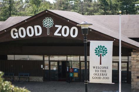Animal Encounters At Oglebay Resorts Good Zoo Wayward