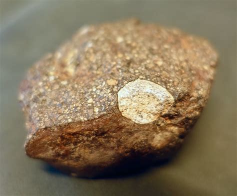 Whole Meteorite With A Huge 16cm Cai Nwa 6702 Cv3 Carbona Flickr