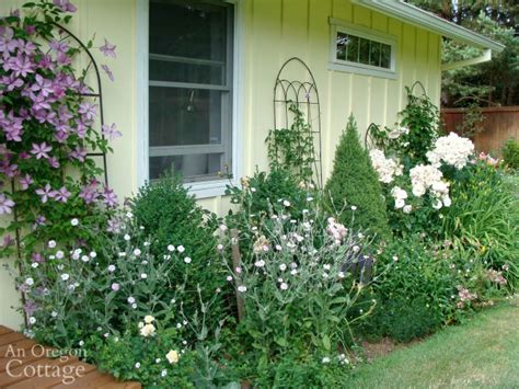 11 easy cottage garden flowers to grow an oregon cottage