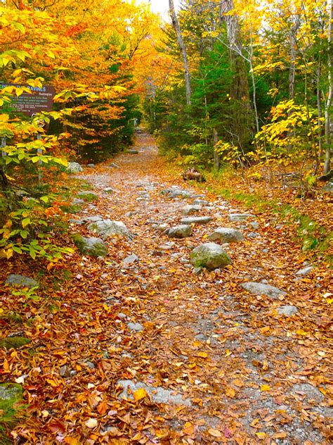 The Freelance Adventurer Top 10 Things To Pack For A Fall Day Hike
