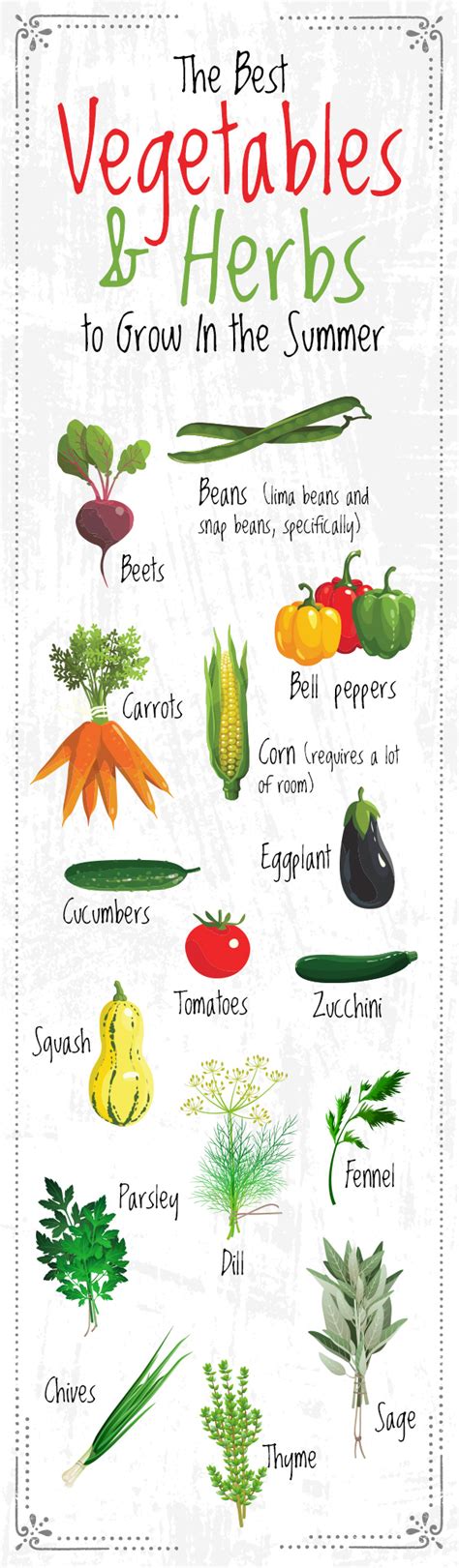 Guide To Planting Summer Vegetables And Herbs