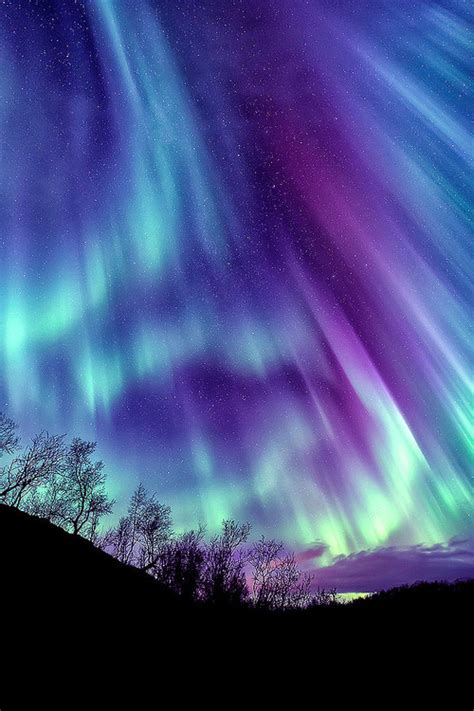 Aurora Boreal On Tumblr