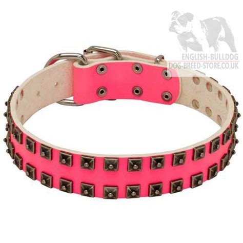 Give them the gift of choice with a frenchie bulldog gift card. English Bulldog Girl Collar - Studded Pink Leather - £56.00