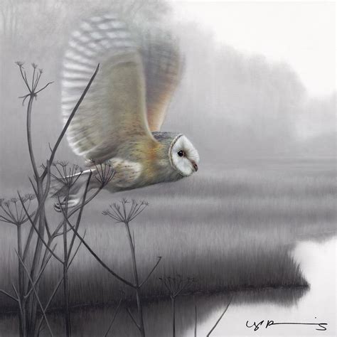 Taking Flight - Owl - Original - Framed - Framed by Nigel ...