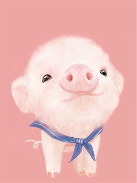Cute Pig Wallpapers 63 Images