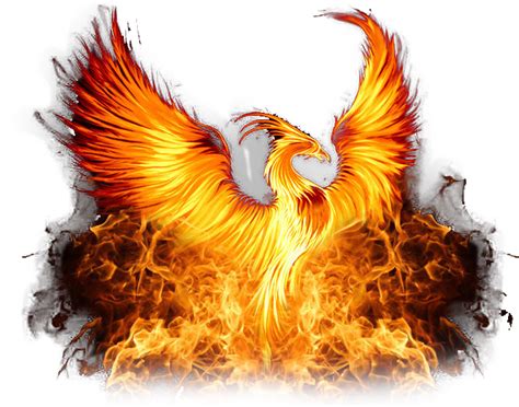 Phoenix Fire Png Images Hd Png Play